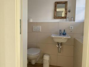 ein Badezimmer mit Toilette und Waschbecken in der Unterkunft Holiday home property 46 in Utersum + 11 Fotos