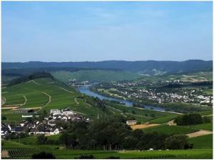 a view of a town and a river in a valley at 2 Weinhaus Marmann in Osann-Monzel +4 photos