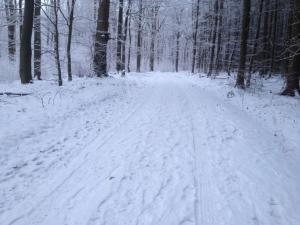 Mary Magdalene Bad Lauterberg om vinteren