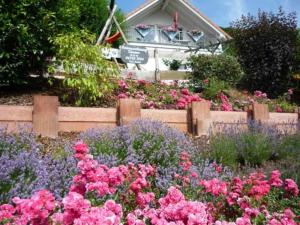 a garden of flowers in front of a house at Close-up view inside the Vorbek house in Bärenbach +3 photos