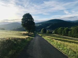 a tree on the side of a road at Holiday apartment with 1 bedroom in Oberbach