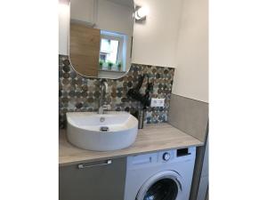 a bathroom with a sink and a washing machine at Holiday apartment with 1 bedroom in Oberbach