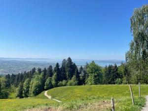 Naturlandskabet i nærheden af feriehuset