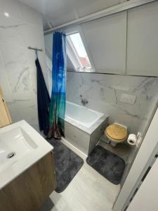 Et badeværelse på Maison de Vacances Nieuwpoort