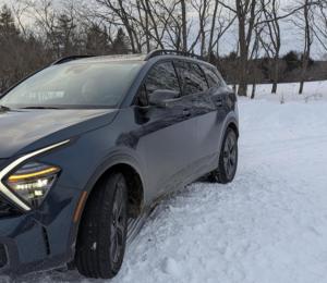 White Mountains New Hampshire Deer Bear Retreat om vinteren + 4 billeder