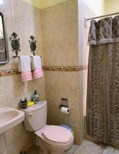 een badkamer met een toilet, een wastafel en een douche bij Tu Casa En Pedernales in Pedernales +13 foto's