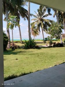 a view of a beach with palm trees and the ocean at Losmen katiet beach front, lances right surf camp peter Homestay in Katiet