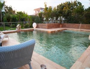 a swimming pool with a dog in it at Hotel Villa Clementina in Scafati