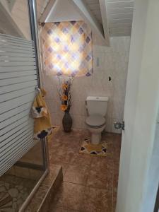 a bathroom with a toilet in a room at Beach Front Apartment & Car Rental in Baie Nettle +10 photos