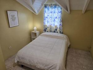 a small bedroom with a bed and a window at Beach Front Apartment & Car Rental in Baie Nettle