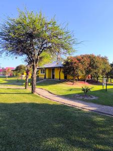 uma árvore na grama ao lado de uma casa amarela em Cabañas La Soñada em Chajarí