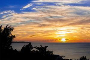 Příroda nedaleko vily