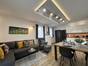 Кухня или мини-кухня в Villa in Doksy near Macha Lake
