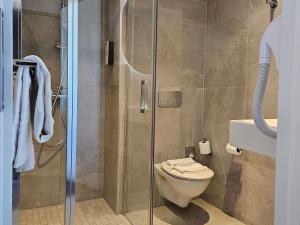 ibis Styles La Rochelle Centre les Minimes في لا روشيل: حمام مزود بمرحاض ودش زجاجي