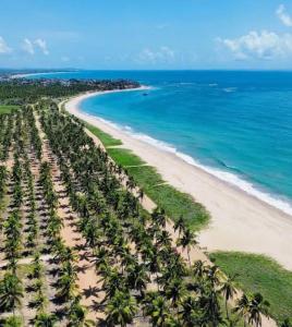 Perfeito Studio Praia في بورتو دي غالينهاس: منظر جوي لشاطئ مليء بأشجار النخيل