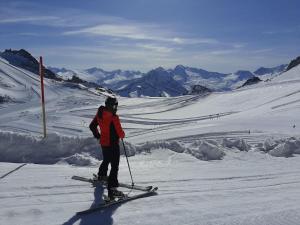 a person on skis standing on a snow covered slope at Holiday apartment Alpenrose in Huaterhof in Laimach