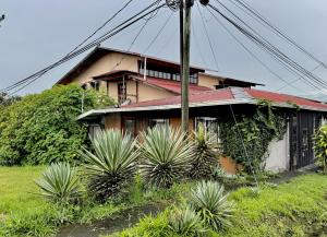 ボルカンにあるCasa Mia Volcanの前に植物の家