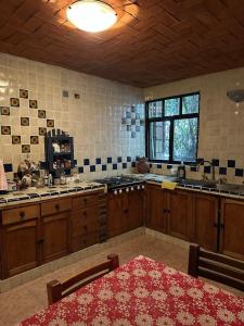 a large kitchen with wooden cabinets and a red rug at Casa Rústica del pedregal in Mexico City