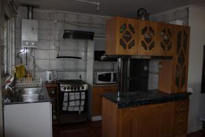 Kuchyň nebo kuchyňský kout v ubytování Cabaña y Hostal Dr Steffens + 13 fotografií