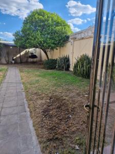 En have udenfor Casa céntrica