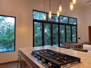 Villa 10 at Chial Reserve Exclusive Jungle Retreat في Big Eddy: مطبخ به موقد أمام النوافذ