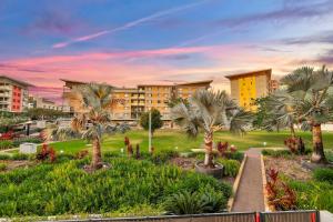 Darwin Waterfront Luxury Suites في داروين: منظر لمنتجع مع أشجار النخيل والمسار