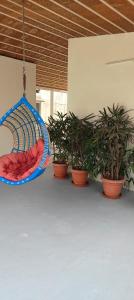 Eine Schaukel, die mit Topfpflanzen von der Decke hängt. in der Unterkunft Aakruthi Homestay in Davanagere