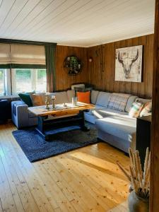 Posezení v ubytování Cabin With Ski Inout Near Gribbe, Valdres