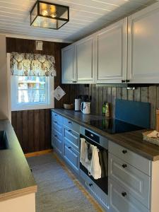 Kuchyň nebo kuchyňský kout v ubytování Cabin With Ski Inout Near Gribbe, Valdres