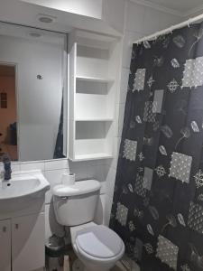 Sector Norte 1 Dormitorio في أنتوفاغاستا: حمام مع مرحاض ومغسلة