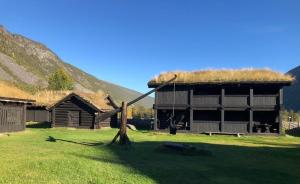 SelJørundgard Vikingcamp的草屋顶的小屋