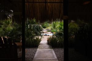 Vườn quanh Jungla EcoLuxury Resort