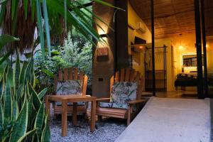 Vườn quanh Jungla EcoLuxury Resort