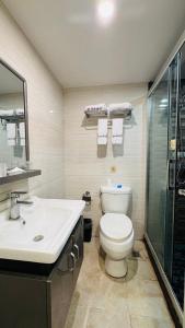 a bathroom with a toilet and a sink and a shower at Park Hyatt Hotel in Taiping