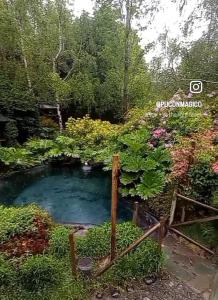 un estanque en medio de un jardín en Pucón Magic forest, en Pucón