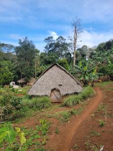 eine strohgedeckte Hütte auf einem Feld mit einem unbefestigten Weg in der Unterkunft Twelve107 Farmstay in Krong Saen Monourom