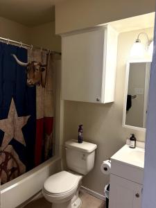 Koupelna v ubytování Hook Em Horns! 12 mins to Downtown Austin