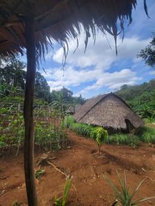 eine Hütte mitten auf einem Feld in der Unterkunft Twelve107 Farmstay in Krong Saen Monourom
