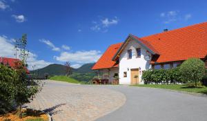 een wit huis met een oranje dak en een oprit bij Relax Guest Hause Marjanca in Rogaška Slatina