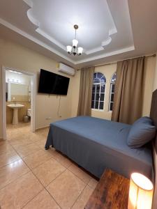 TV a/nebo společenská místnost v ubytování Beautiful Spacious Apartment