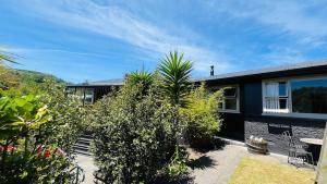 une maison avec un palmier dans la cour dans l'établissement Stay on Stafford, à Nelson