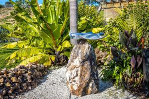 a garden with a bird bath on a rock at Welcome Cottage - Stay Waiheke in Oneroa