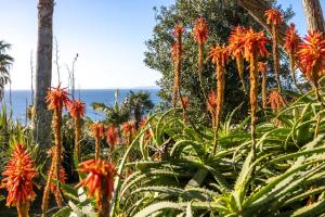 Příroda nedaleko prázdninového domu + 18 fotografií