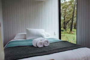 ArrawarraにあるSolitary Islands Farm 3 by Tiny Awayの窓付きのベッド