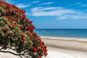 a bush with red flowers on a beach at The Sands Apartment 8 - Stay Waiheke in Waiheke Island