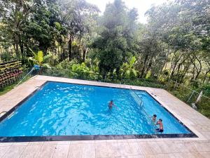 three people in a swimming pool in a forest at Bucolic Resort in Panamaram