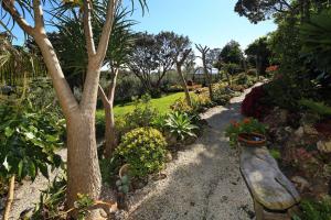 a garden with a tree and some plants and flowers at La Maisonette - Stay Waiheke in Onetangi +1 photo