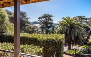 a garden with a hedge and a palm tree at Aqua Sands #1 - Stay Waiheke in Oneroa +6 photos