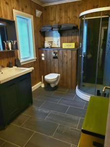 a bathroom with a toilet and a sink and a shower at Mountain Cabin With Views Of Bonsenås in Tuddal