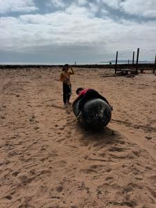 Επισκέπτες που μένουν στο Cabaña Hacieda Bahía Tongoy